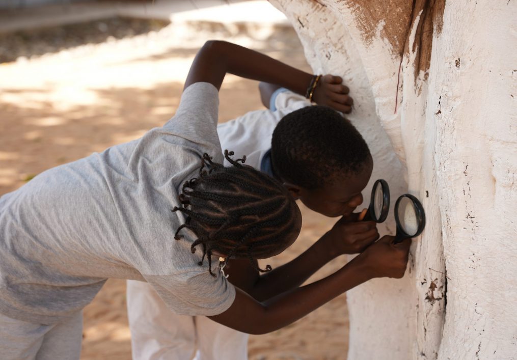 EduConservation, Senegal